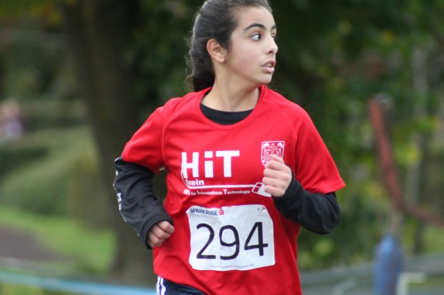 CrossCountryBezirksmeisterschaft_2024